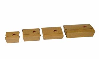 BOX PER ALIMENTI 30X16.5X7 PZ40