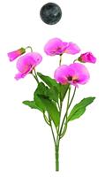 MAZZETTO PANSE ROSA H250